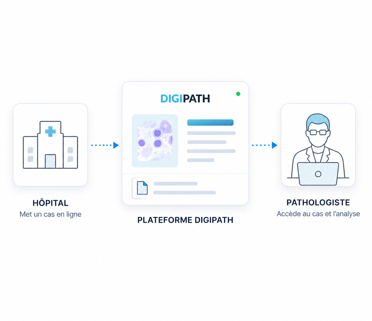 Schéma : un hôpital met un cas en ligne sur la plateforme DIGIPATH, qui le transmet à un pathologiste pour analyse à distance.